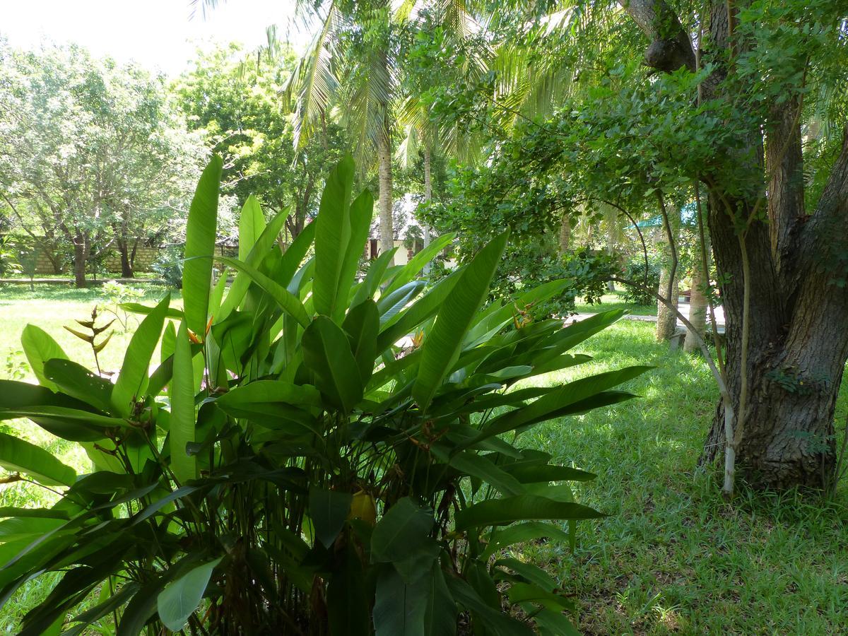 Residence Maison Muege Kilifi Eksteriør bilde